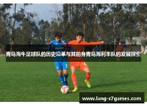 青岛海牛足球队的历史沿革与其前身青岛海利丰队的发展探索