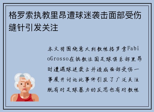 格罗索执教里昂遭球迷袭击面部受伤缝针引发关注